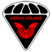 Ursus Volans